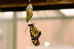A butterfly emerging from its cocoon Ready to Redefine Your Comfort Zone Boundaries